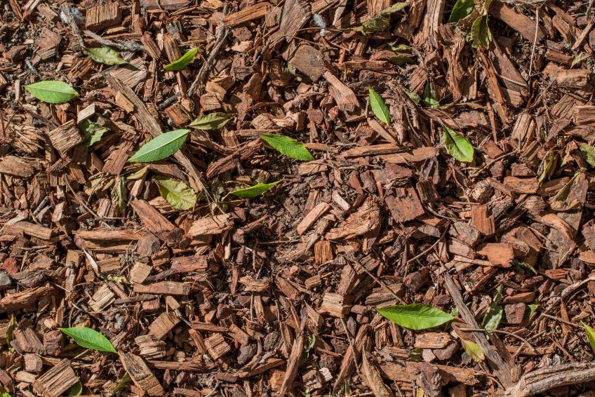 Premium garden mulch installation in Sylva NC showing organic mulch application
